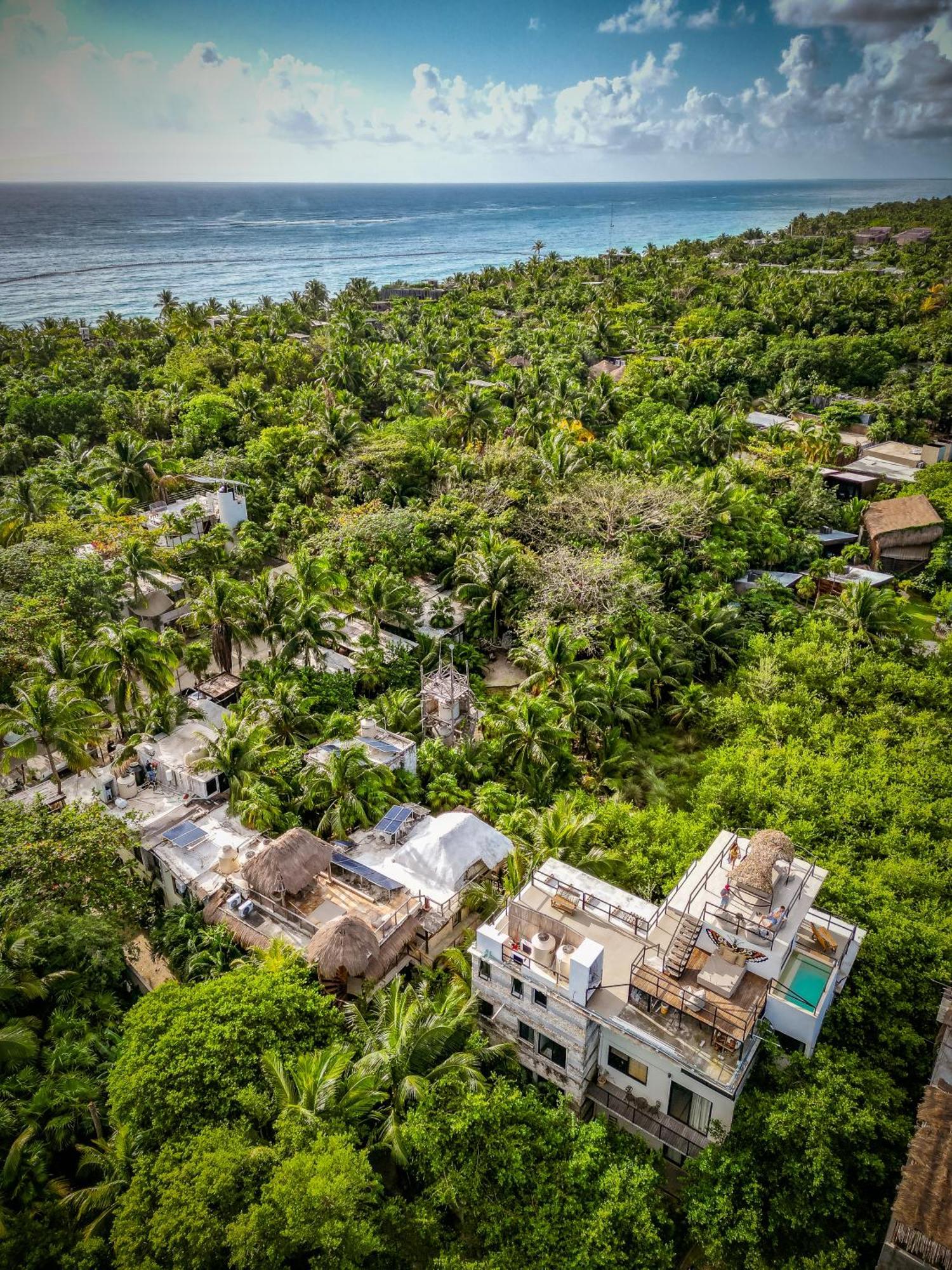Suites Tulum (Adults Only) Dış mekan fotoğraf
